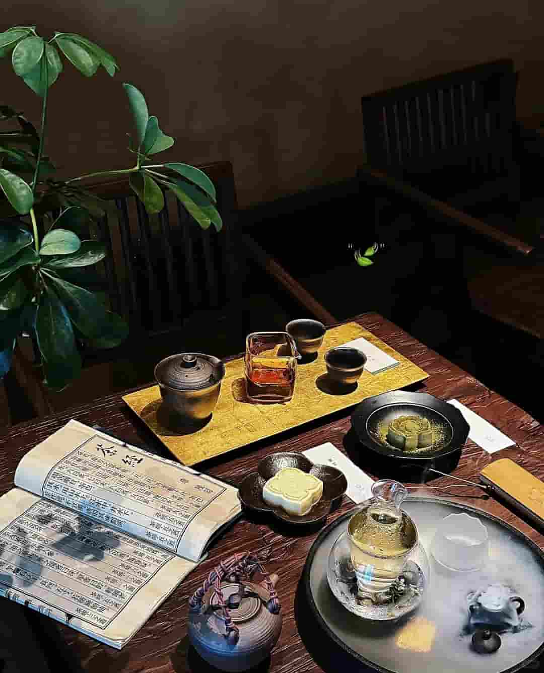 听雨茶席：一窗竹影，半盏清欢
