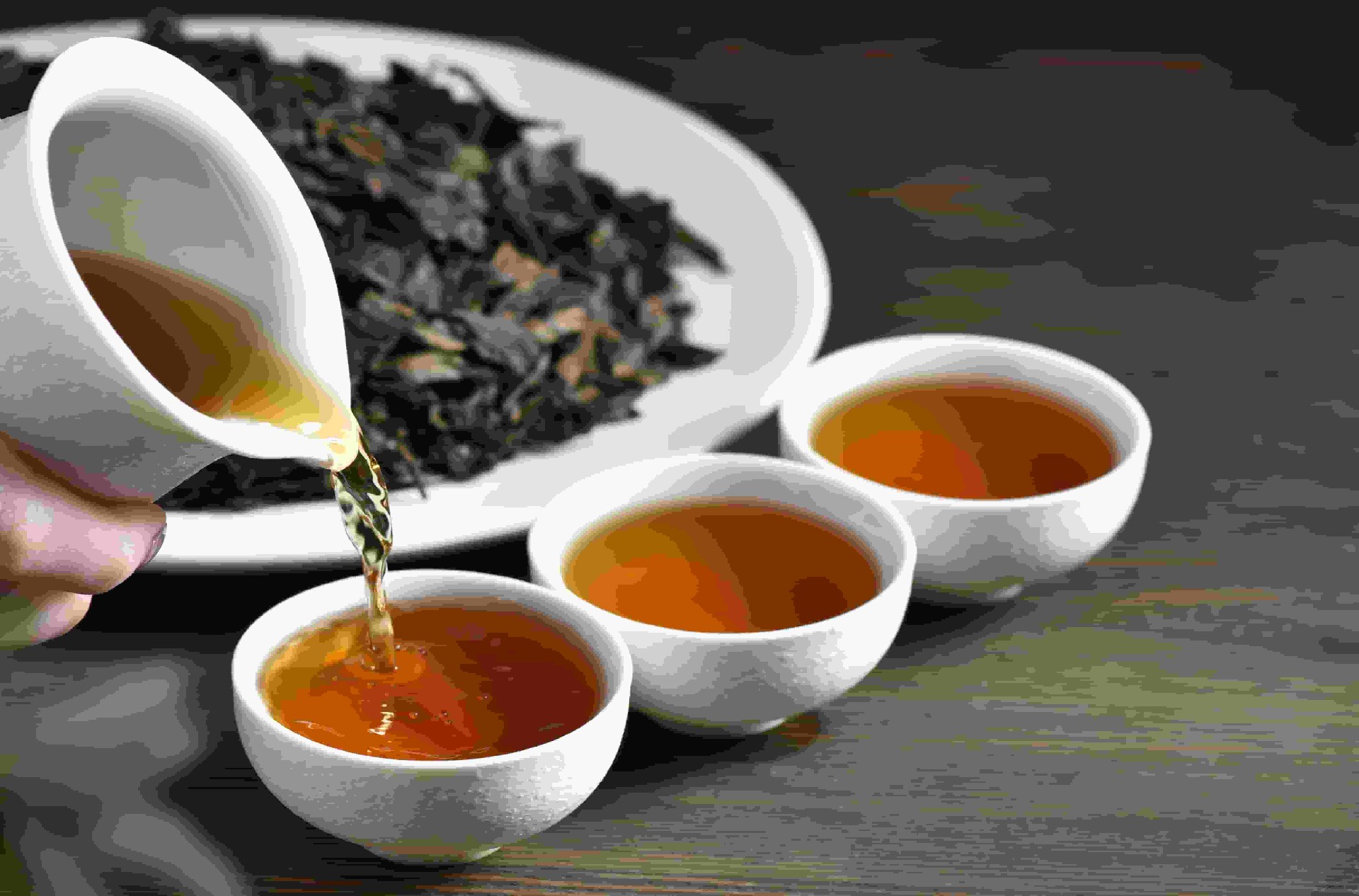 宋代点茶体验课五月新增三场